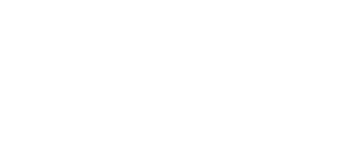 Logo Vißer